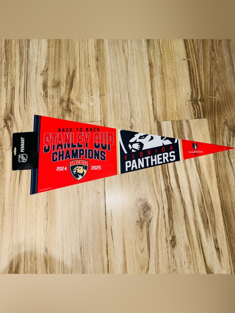 NHL Hockey Florida Panthers Stanley Cup Champions Pennant